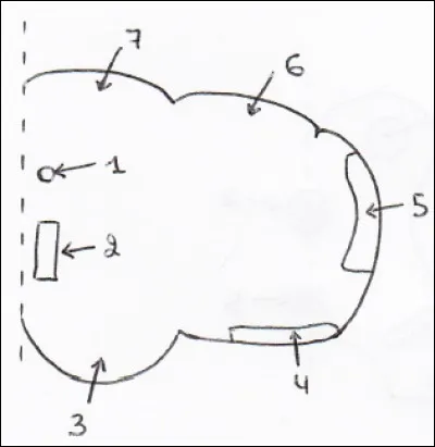 Coupe de la moitié inférieure du bulbe : 
1. Noyau XII
2. Lemniscus latéral
3. Pyramide
4. Faisceau de Gowers
5. Faisceau de Flechsig
6. Faisceau de Goll
7. Faisceau de Burdach