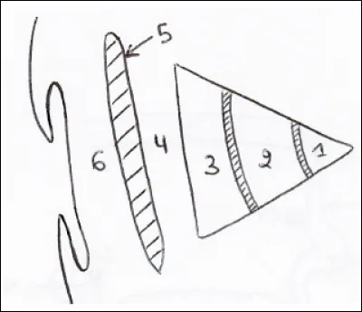Coupe axiale par le noyau lenticulaire : 
1. GPi
2. GPe
3. Putamen
4. Capsule externe
5. Claustrum
6. Capsule extrême