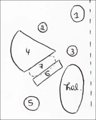 Coupe par la capsule interne : 
1. Tête du noyau caudé
2. Faisceau fronto-pontin
3. Faisceau cortico-spinal
4. Noyau lenticulaire
5. Faisceau pariéto-occipito-temporo-pontin
6. Faisceau géniculé
7. Faisceau cortico-réticulaire et cortico-rubral