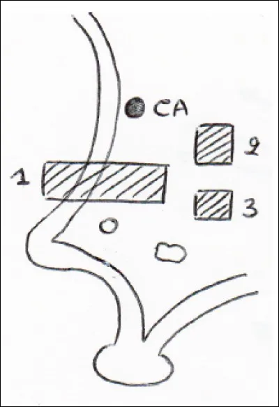 Noyaux de l'hypothalamus : 
1. Noyau paraventriculaire
2. Noyau supra-chiasmatique
3. Noyau pré-optique