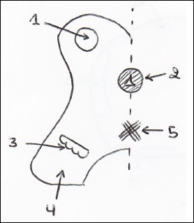 Quiz Sciences