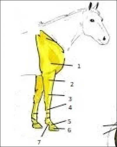 Le nom rapporté au chiffre est-il le bon?