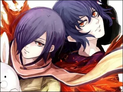 De quel type sont Tokka et Ayato ?