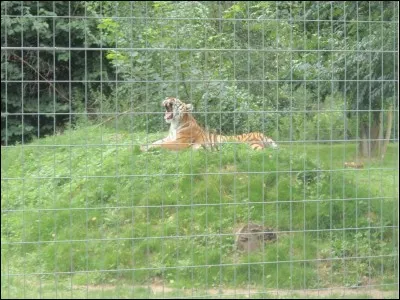 Réponse facile, pour vous détendre !