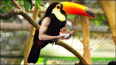 Il peuple la plus grande partie d'un continent, trouvez le pays !