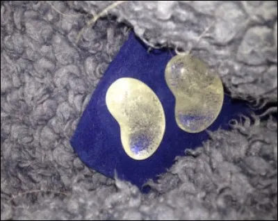 Quel duo va chercher un haricot magique pour retourner auprès d'Emma dans le final de la saison ?