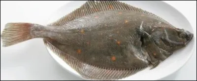 Aimes-tu le poisson ?