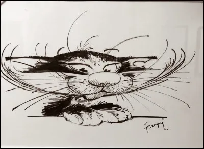 À qui appartient ce chat de bande dessinée ?