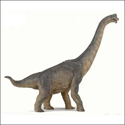 Le brachiosaure faisait...