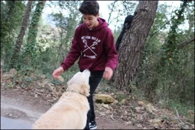 Comment son chien s'appelle-t-il ?