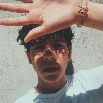 Quelle est sa couleur préférée ?