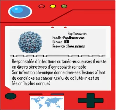 Une fois Lucien Profite battu Sabouraud par en direction de son dernier badge. 
Avant cela il doit faire face au papillomavirus, un virus responsable des verrues quand il nous infecte par voie cutanée. Cependant une autre forme est plus problématique car cancérigène 
Quel est le mode de transmission de la forme cancérigène du papillomavirus ?