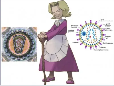 Le conseil des 4 commence pour Sabouraud avec Line Nafta la spécialiste des rétrovirus.
Le virus de l'immunodéficience humaine (VIH) responsable du SIDA est le principal responsable de cette classe de virus capables de créer de l'ADN à partir de son génome fait d'ARN.
Mais l'homme n'est pas le seul animal concerné par les rétrovirus. Quel animal de compagnie peut être touché par un rétrovirus ?