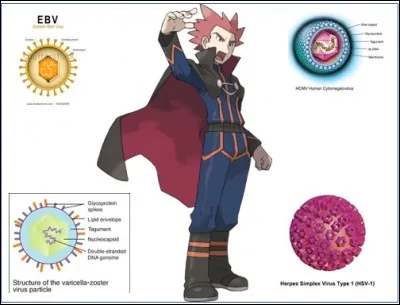Le conseil des 4 continue pour Sabouraud avec un nouvel adversaire : Luis Dias Serpentes le spécialiste des Herpes-viridae.
Une famille de virus bien connue car responsable entre autres de la varicelle, de l'herpes ou encore de la mononucléose. 
Quelle est la spécificité de cette famille de virus ?