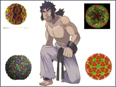 Le conseil des 4 se termine enfin avec le spécialiste 
des arbovirus : Jean Tare.
Les arbovirus sont des virus sévissant principalement dans l'hémisphère Sud et se manifestant sous la forme d'une fièvre importante plus ou moins associée à des courbatures ou des hémorragies.
Laquelle de ces maladies n'est pas due à un arbovirus ?