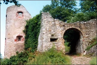 Le département du Haut-Rhin n'est pas limitrophe de celui :