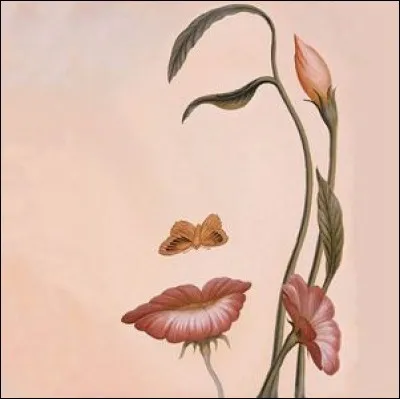 À quoi cette image te fait-elle penser ?