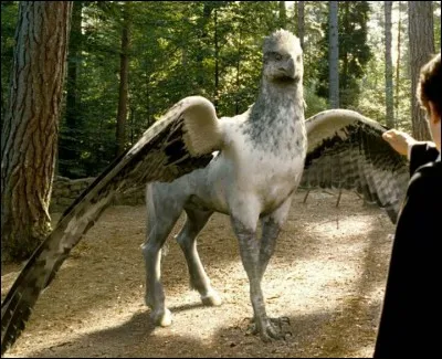 Comment s'appelle l'hippogriffe préféré d'Hagrid ?