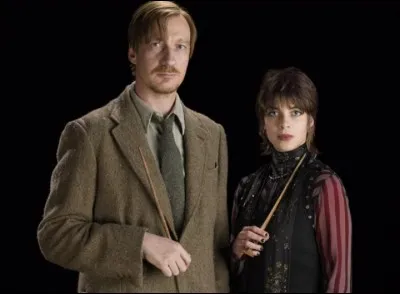 Dans quelle maison de Poudlard va Ted Lupin, le fils de Remus et Nymphadora ?