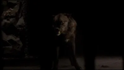 Où se fait mordre Scott McCall ?