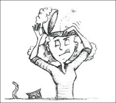 Qui permet de stocker le plus d'informations ?