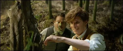 Qui a écrit "Les Animaux fantastiques" ?