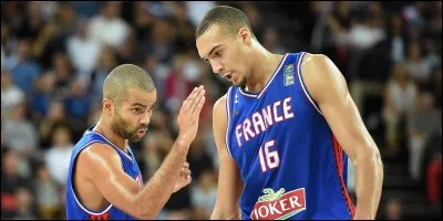 Quelle est son envergure ?