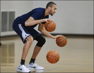 Combien pèse-t-il ?