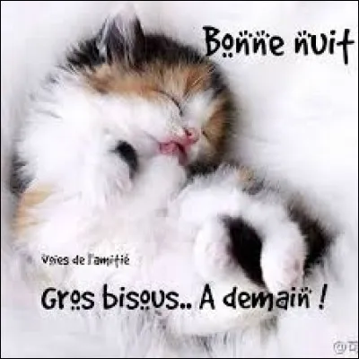 En Biélorussie, "Bonne nuit" se dit :