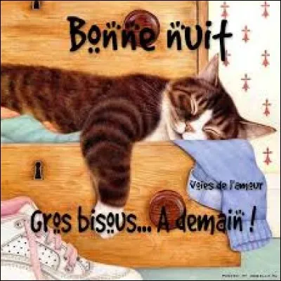 En arabe maintenant, dîtes-moi "Bonne nuit" !
