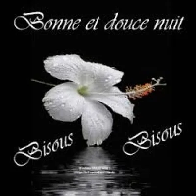 Qu'est-ce qu'un Roumain dira-t-il tout en volant votre oreiller pour dire "Bonne nuit" ?