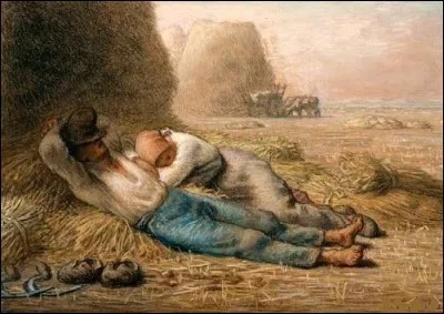 Pendant que d'autres se reposent dans les champs !