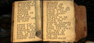 Gallus a codé son journal. En quelle langue l'a-t-il écrit ?