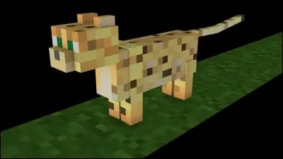 Quel est le vrai nom du chat dans "Minecraft" ?