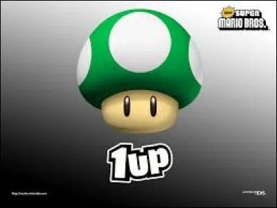 Combien de vies maximum peut-on avoir ?