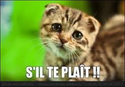 Vous voulez demander à quelqu'un de vous apporter un objet. Quelle est la formule de politesse que vous devrez employer à la fin de votre phrase ?