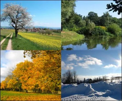 Quelle est votre saison favorite ?