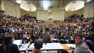 Dans quelle branche pourriez-vous étudier ?