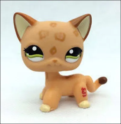 Quel est le num&eacute;ro de ce Pet Shop ?