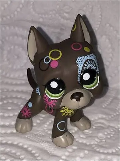 De quelle collection est-il ?