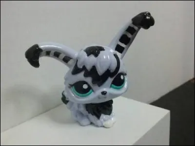 Ce Pet Shop est-il un fake ?