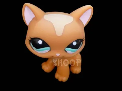 Quelle est la race de ce Pet Shop ?