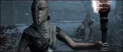 "Hé ! Vous préparez des potions, pas vrai ? Je pourrais avoir __________ ?"