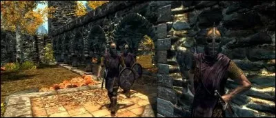 "Vous voyez ces guerriers __________"