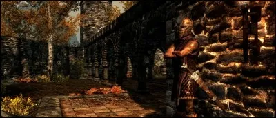 "La magie destructrice, c'est bien... Mais __________"