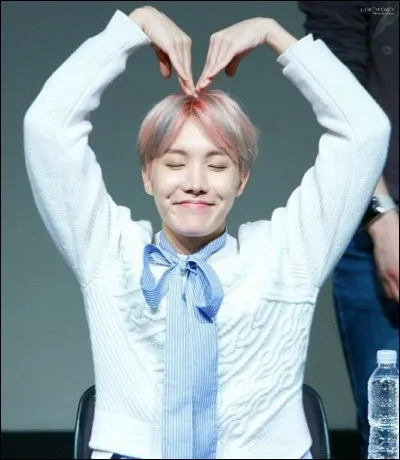 Pourquoi J-Hope a-t-il auditionn&eacute; ?