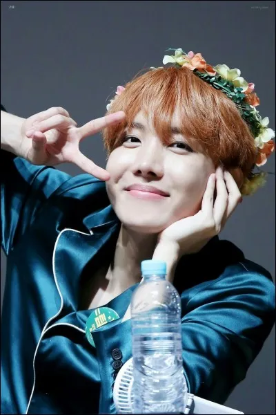 Le pouvoir que J-Hope aurait voulu avoir est...