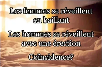 Pourquoi baille-t-on ?