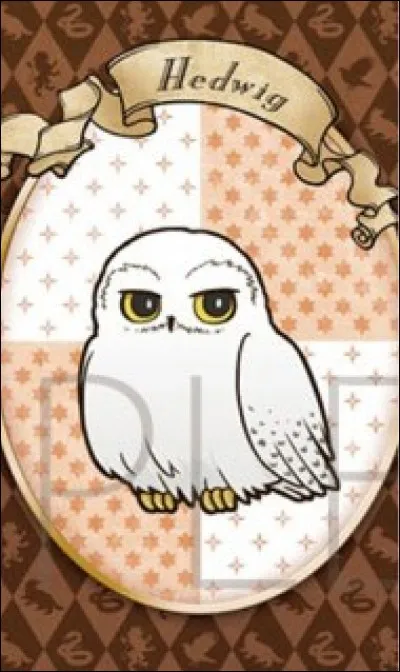 Où Harry a-t-il trouvé le prénom de Hedwige ?