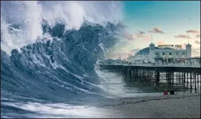 Japonais - Que signifie le terme "tsunami" ?